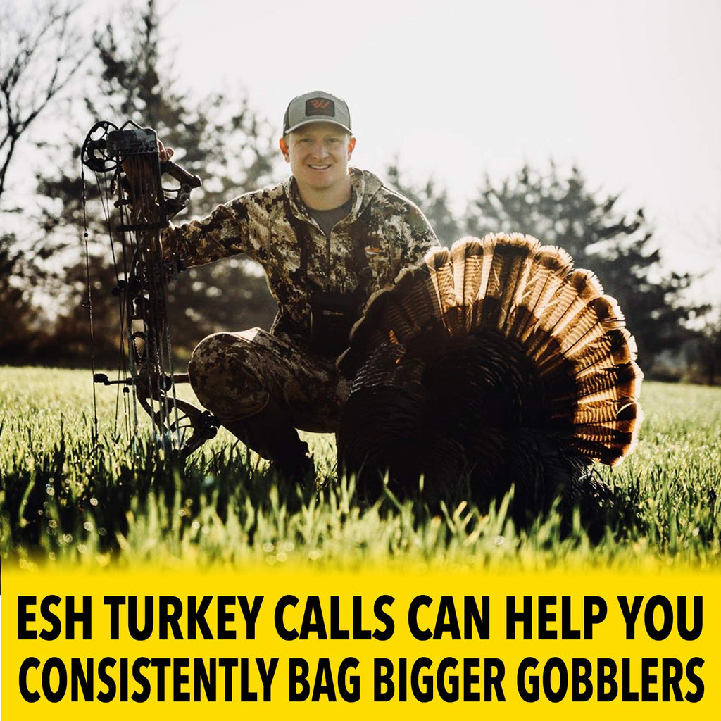 Pure Hen Box Call