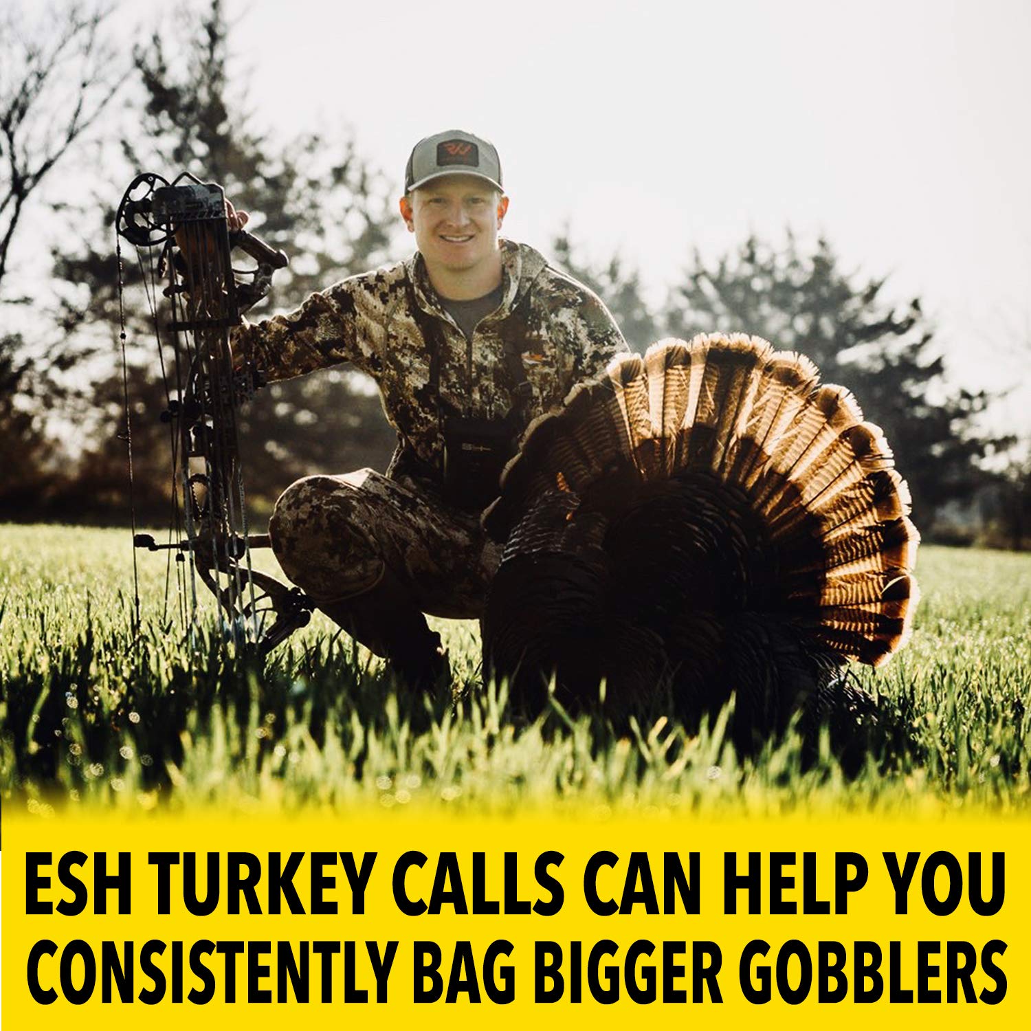 Pure Hen Box Call