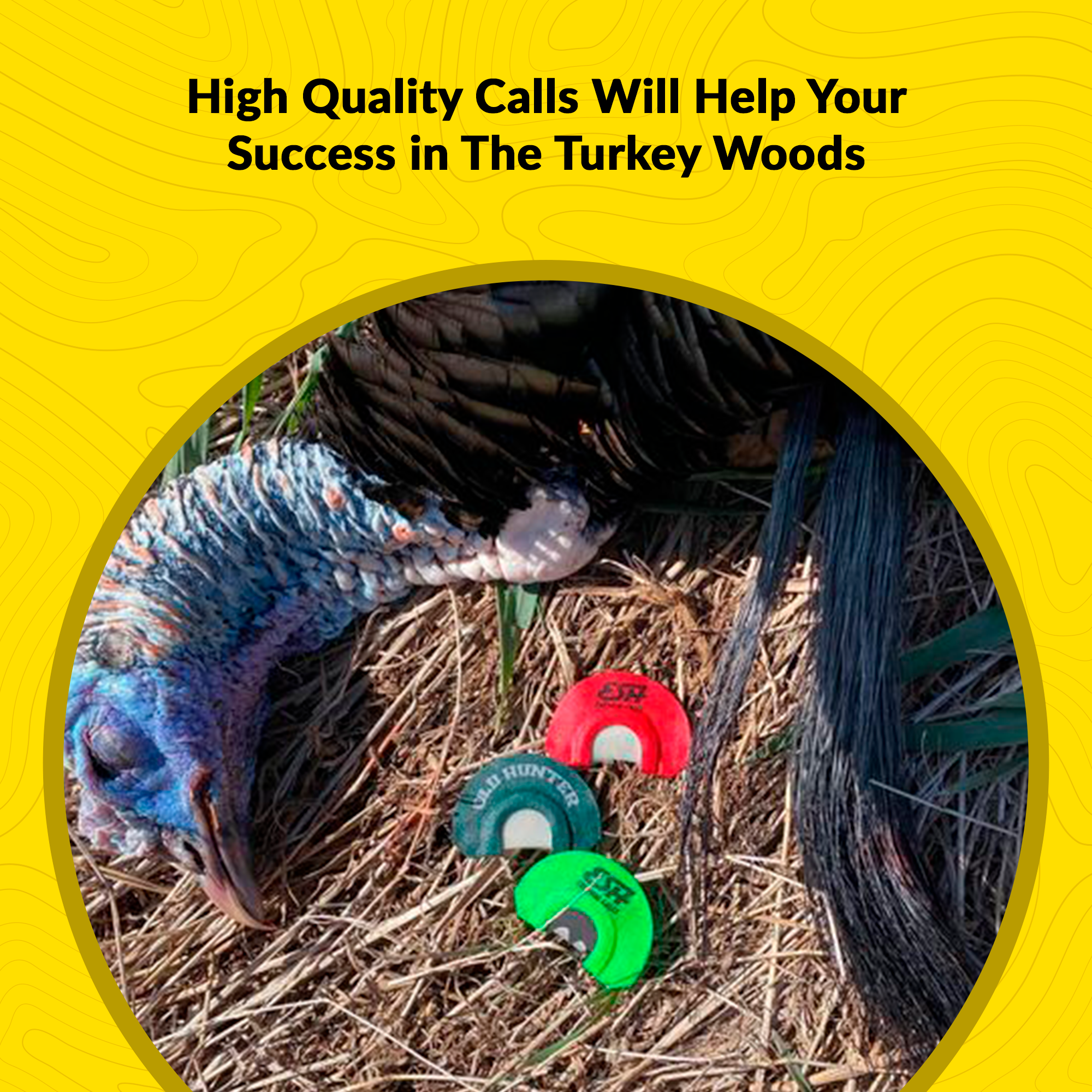 LONG SPUR - Inverted Batwing Mouth Call